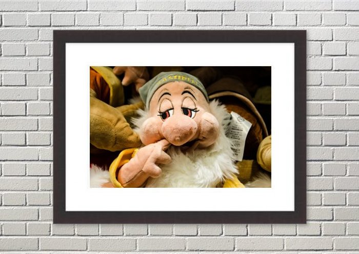 Framed Print